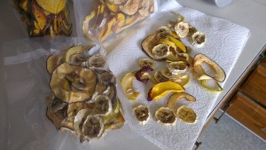 Apple, banana, and peach slices. I added a dash of cinnamon to the apples before dehydrating.