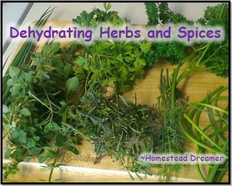 http://www.homesteaddreamer.com/wp-content/uploads/2014/06/Dehydrating_Herbs_and_Spices.png