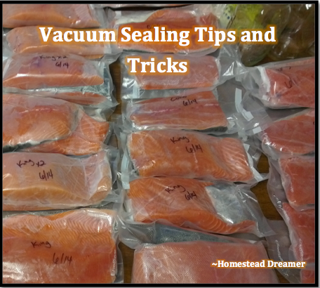 Your Ultimate Guide To Vacuum Sealing: Dos And Don'ts - Style Degree