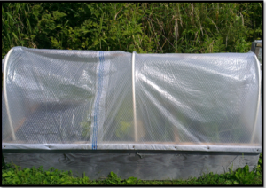 Closed Cold Frame