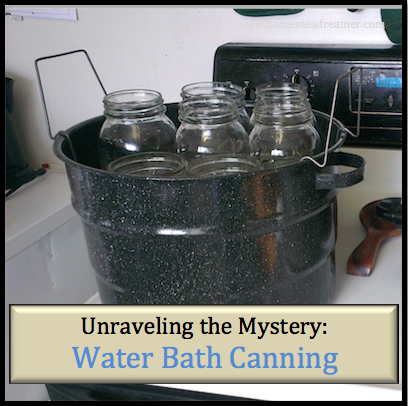 Unraveling the Mystery: Water Bath vs Pressure Canning - Homestead