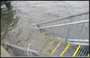 Water Stairs