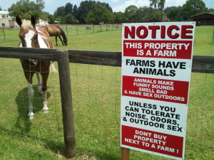 Farm Animals