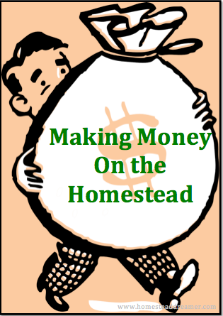 Making Money on the Homestead