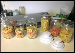 Stew Starters with Dehydrated veggies