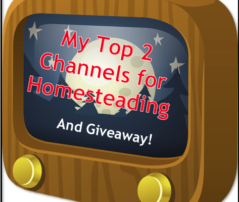 My Top 2 Channels for Homesteading